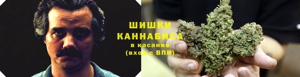 сатива Вязники